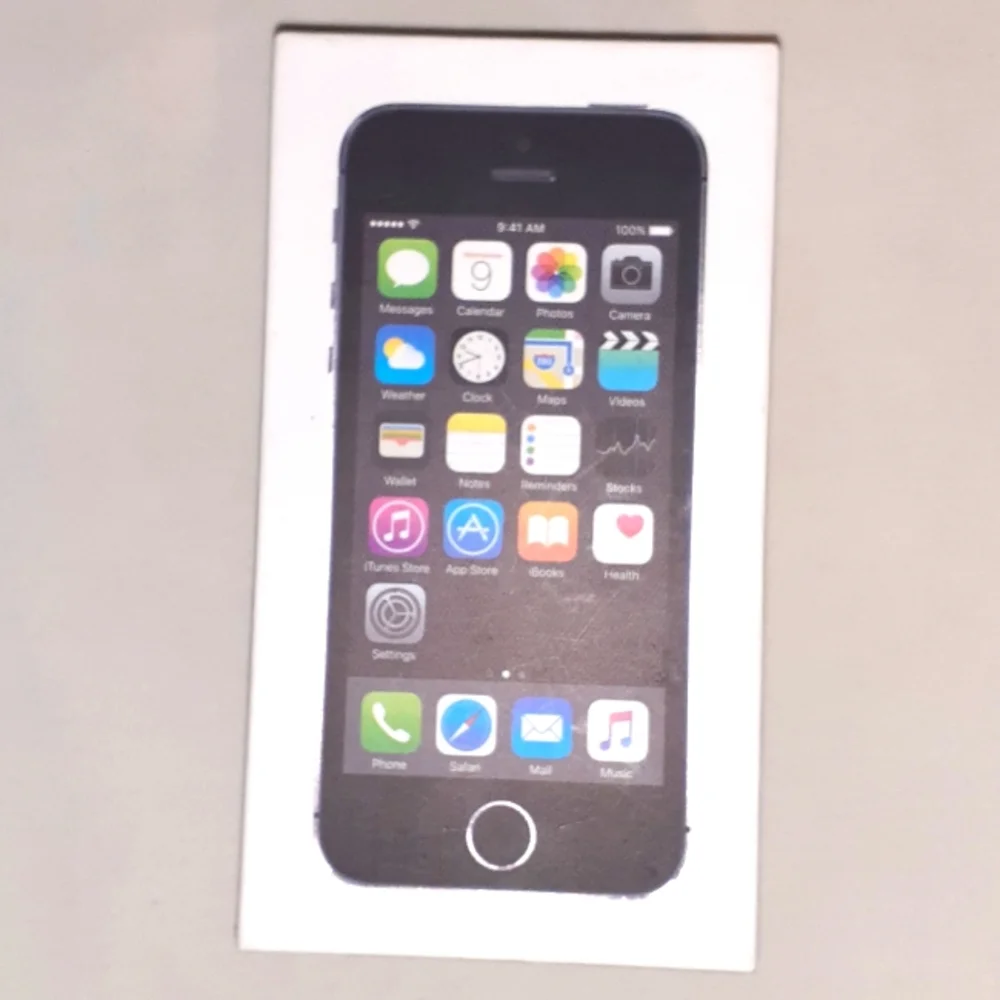 Apple iPhone 5s (empty box)